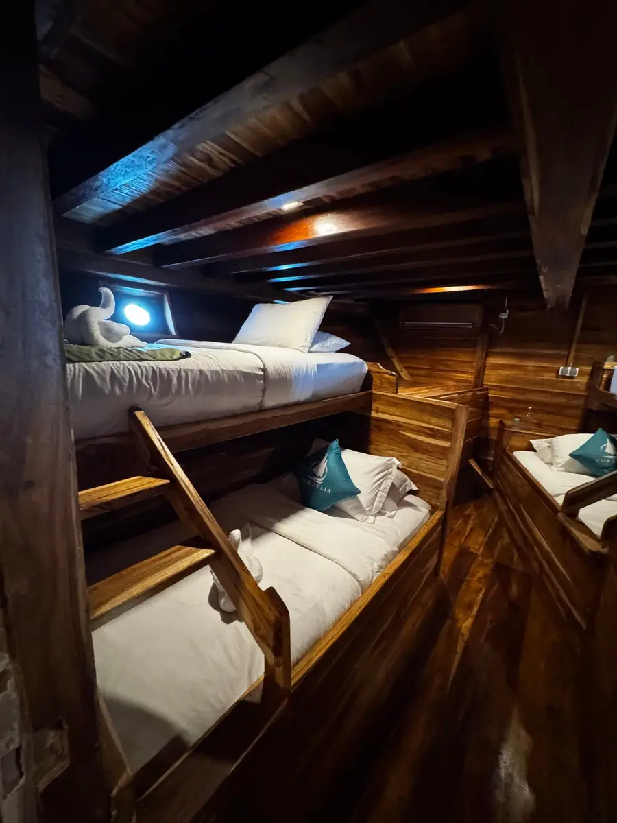 Beds in the Crystal shared cabin on Cordelia